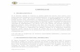 CAPITULO II - repositorio.espe.edu.ecrepositorio.espe.edu.ec/bitstream/21000/2454/5/T-ESPE-018203-2.pdf · interno se evaluará la composición del Balance General de la Institución