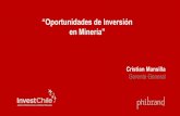 “Oportunidades de Inversión en Minería”fomentoantofagasta.cl/wp-content/uploads/2017/07/E...Capex Y Opex En Proyectos Mineros” – Noviembre 2012, (iii) “Factores Clave para