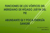 FUNCIONES DE LOS VÓRTICES DEL MERIDIANO DE ...repositorio.uasb.edu.ec/bitstream/10644/7083/1/Coba, J.L...como resultado se aplaca la energía Calor del meridiano, descargando así