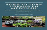 Agricultura urbana en Medellín.bibliotecadigital.udea.edu.co/bitstream/10495/11327/1/... · 2019-07-03 · Agricultura urbana en Medellín. Experiencias y Contribuciones de los Proyectos: