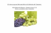 El vino un gran desconocido en la historia de Tomares. · 2019-02-10 · exclusivamente en los cereales y la vid. • Los dirigentes Omeyas de Al-Andalus, impulsaron el desarrollo