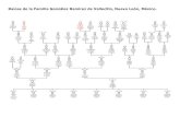 Ancestros de la Familia González Ramírez, de Vallecillo, Nuevo … · 2019-05-12 · 2 Antonio José, Avelino, Isidro, Leopoldo, Ausencio, Rodolfo, Reginalda y Patrocinia —todos