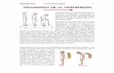 TRATAMIENTO DE LA OSTEOPOROSISlapaginadelmedico.com.ar/osteoporosis.pdf · considerados en esa situación. Lordosis cervical y cifosis dorsal son las manifestaciones clásicas de