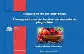 Inocuidad de los alimentos Transgresiones en Berries en ...trofar.cl/doctos/berries/plaguicidas_berries.pdfDe acuerdo a este marco, corresponde al Servicio establecer los procedimientos