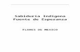 Sabiduría Indígena, fuente de esperanza. Flores de …usuaris.tinet.cat/fqi_sp02/docs/flores_m.doc · Web viewTitle Sabiduría Indígena, fuente de esperanza. Flores de México