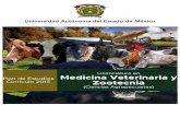 Licenciatura en Medicina Veterinaria y Zootecniaveterinaria.uaemex.mx/images/Documentos_veterinaria/... · 2019-12-10 · Características del currículo profesional Nombre de la