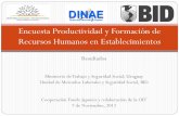 Encuesta Productividad y Formación de Recursos Humanos en … · 2020-01-30 · Resultados Ministerio de Trabajo y Seguridad Social, Uruguay Unidad de Mercados Laborales y Seguridad