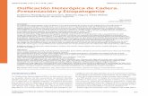 Osificación Heterópica de Cadera. Presentación y Etiopatogeniaacaro.org.ar/acarorevista/images/revistas/04_01/04...22%. Las articulaciones más afectadas son la cadera, el codo