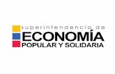 EL SEGURO DE DEPÓSITOS Y SOLIDARIA - Ecuador...Popular y Solidaria 2. La Economía Popular y Solidaria en cifras 3. Experiencias de fondos de garantía de depósitos para COAC en