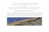 Grandes metrópolis y sus infraestructuras GMIDelriolujan.com.ar/Aguas someras en planicies extremas.pdf25675 y a los principios precautorios y de prevención que marca el art 4°