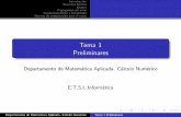 Tema 1 Preliminares - UGRmpasadas/ftp/Tema1.pdf · 2009-03-23 · Introducci on Teoremas b asicos Errores Propagaci on del error Condicionamiento y Estabilidad Normas de computaci