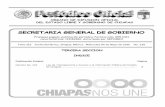 TERCERA SECCION INDICE - Instituto Nacional de ...inicio.ifai.org.mx/LeyesEstados/Chiapas.pdfdel Estado de Chiapas, se adoptan los criterios generales en materia de transparencia y