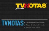TVNOTAS - WordPress.com · 2018-03-09 · INICIOS Fundada el 10 de junio de 1994 Carlos Manuel Flores Núñez Actual director general de GEN