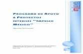 Programa de Apoyo a Proyectos juveniles “Impulso …...PROGRAMA DE APOYO A PROYECTOS JUVENILES “IMPULSO MÉXICO” 2007-2012 5 2. ANTECEDENTES Periodo 1970-1996 Durante la gestión