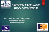 DIRECCIÓN NACIONAL DE EDUCACIÓN ESPECIAL · 2016-02-26 · Labor Social a estudiantes que pertenecen al programa. Participación al Primer Congreso De Educación Especial en Panamá.
