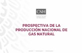 PROSPECTIVA DE LA PRODUCCIÓN NACIONAL DE GAS NATURAL · 2019-08-26 · pozos petroleros. • Sólo en la cuenca Permian se han perforado 411,461 pozos. • En la cuenca de Eagle