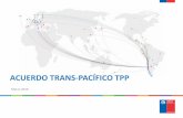 ACUERDO TRANS-PACÍFICO TPP - AmCham Chile...ACUERDO TRANS-PACÍFICO TPP » PARTES: Australia, Brunei Darussalam, Canadá, Chile, Estados Unidos, Malasia, ... TRATADO TRANS-PACÍFICO