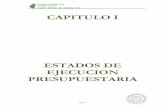 Caratula Ejercicio 2010 - Cuerpo Principal · 2016-11-25 · Los Recursos de Capital ascendieron a $ 1.251 millones, destacándose las transferencias del sector público nacional.