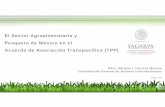 El Sector Agroalimentario y Pesquero de México en el ... · ACUERDO DE ASOCIACIÓN TRANSPACÍFICO (TPP) • Nuevo marco jurídico para las relaciones comerciales de México.No obstante,