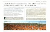 Viabilidad económica de plantaciones superintensivas en Andalucía · 2009-01-23 · dossier OLIVAR ^ Viabilidad económica de plantaciones ... ("dinero negro", tal como se denomina