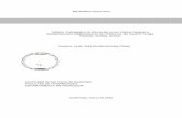 Maximiliano Grave Imul - USACbiblioteca.usac.edu.gt/EPS/07/07_0546.pdfpropuesta de solución a la pérdida de valores mayas y universales, por medio de la elaboración de un Módulo