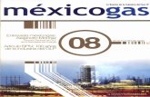 10 - MEXICOGASmexicogas.net/revistaspdf/revista08.pdf · La distribución del directorio se dará a través de la lista de suscriptores de GLP, los socios de Canacintra, Canaco, Coparmex,