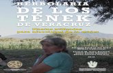 Herbolaria de los Tének de Veracruz. - Patrimonio Bioculturalpatrimoniobiocultural.com/archivos/publicaciones/libros/... · 2019-11-13 · cuenta que podía hacerlo, sin que alguien