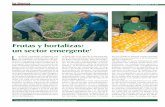Frutas y hortalizas: un sector emergente - UPA · hortalizas y doce para las patatas. Es importante resaltar el escaso consumo de frutas en hostelería, canal que sólo presen-ta