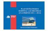 Servicio de Salud Talcahuano - Hospital Las Higueras · 2013-04-30 · % Dias cama pacientes categorizados segun riesgo/dependencia 1.2. Gestionar Programa de Hospitalizacion domiciliaria.