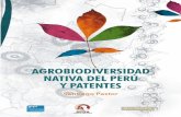 Agrobiodiversidad y Patentes · agradecimiento Quiero expresar mi agradecimiento a las muchas personas que han colaborado de una u otra manera para lograr este documento, en especial