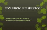 COMERCIO EN MEXICO - WordPress.com · En México El comercio es la actividad económica que tiene el mayor número de establecimientos en el país. Durante el 2003, en México existían