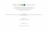 UNIVERSIDAD CATÓLICA ANDRÉS BELLObiblioteca2.ucab.edu.ve/anexos/biblioteca/marc/texto/AAT0668.pdf · primaria, por apoyarme incansablemente en cada año y en cada semestre: no hay