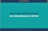 RUPTURA PREMATURA DE MEMBRANAS (RPM)herramientasparteria.org/documentos/ruptura...RUPTURA PREMATURA DE MEMBRANAS (RPM) RUPTURA PREMATURA DE MEMBRANAS (RPM) Ocurre en el 20-30% de las