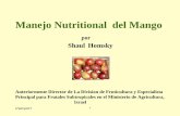 Manejo Nutritional del Mango · Problemas del mango en los tropicos que destaquan la significacion especial de un manejo nutricional apropiado: - Frequntemente crecimiento excesivo