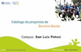 San Luis Potosí2°y 3°nivel de telesecundaria y preparatoria, para facilitar su inserción al campo laboral. Actividades: Diseño e impartición de cursos de inglés; aplicación