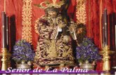 Señor de La Palmapadrejesus.com/Boletines/boletin25.pdf · 2013-07-28 · ma del Socorro y San Juan Evangelista: Una vez más me pongo en contacto con vosotros con mis hu-mildes