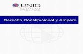 Derecho Constitucional y Amparo - UNID€¦ · sentido para conceder o negar la suspensión definitiva promovida por el amparo contra los efectos o consecuencias de una orden judicial