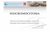 Servicio de Endocrinología y Nutrición Hospital ...sendimad.org/sesiones/feocromocitoma.pdf · HISTORIA CLÍNICA Varón de 36 años con clínica de 18 meses de evolución de seis