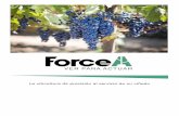 La viticultura de precisión al servicio de su viñedo · FORCE-A lo acompaña en la gestión de su viñedo gracias a la venta de sensores y diagnósticos vitivinícolas permitiendo