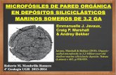 MICROFÓSILES DE PARED ORGÁNICA EN DEPÓSITOS ... · · Color negro similar a partículas orgánicas diseminadas en rocas (depositadas en sedimentos, no contaminación). · Resistentes