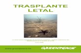 TRASPLANTE LETAL - Greenpeace Españaarchivo-es.greenpeace.org/.../other/trasplante-letal.pdftrasplante de posidonia. El siguiente fragmento es de un informe publicado en el marco