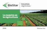 portafolio - biostar.mx · FERTILIZANTES FOLIARES Y AL SUELO Línea de productos diseñada para complementar los programas de nutrición intensivos en cada una de las etapas críticas