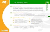 FICHA La biomasa 11 - Agencia Insular de Energía de Tenerife€¦ · renovable que más aporta en la actualidad a las necesidades de la humanidad. La energía de la biomasa proviene
