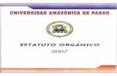 ESTATUTO ORGANICO DE LA UNIVERSIDAD ESTATUTO ORGANICO DE LA UNIVERSIDAD AMAZONICA DE PANDO Pأ،gina 18