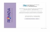 PROGRAMA DE INNOVACIÓN EN EMPRESAS PARAGUAYAS - …conacyt.gov.py/sites/default/files/upload_editores/u489... · 2019-02-18 · página 1 de 30 programa de innovaciÓn en empresas