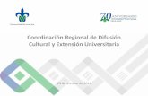 Coordinación Regional de Difusión Cultural y Extensión ...colaboracion.uv.mx/rept/files/2015/01/014/INFORMES-VER/22-Difusi… · grupo artÍstico presentaciones locales presentaciones