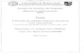 El Mercado de capitales argentino durante la crisis ...bibliotecadigital.econ.uba.ar/download/tpos/1502-0485_ThomaszEO.… · explicativos y predictivos. Por ello, la motivación