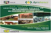 CONTENIDO - Agrobanco · 2013-10-16 · IX. INSTALACIONES PARA ENGORDE DE VACUNOS El proceso de engorde de ganado como todo proceso de producción animal, requiere de instalaciones