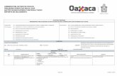 DATOS DEL PROGRAMA PROGRAMA156 ... - oaxaca.gob.mx€¦ · gobierno del estado de oaxaca programa operativo anual 2019 matrÍz de indicadores para resultados reporte de seguimiento