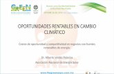 OPORTUNIDADES RENTABLES EN CAMBIO …ejkrause.com.mx/camp-green16/bitacora/enviro/enviro27...OPORTUNIDADES RENTABLES EN CAMBIO CLIMÁTICO Costos de oportunidad y competitividad en